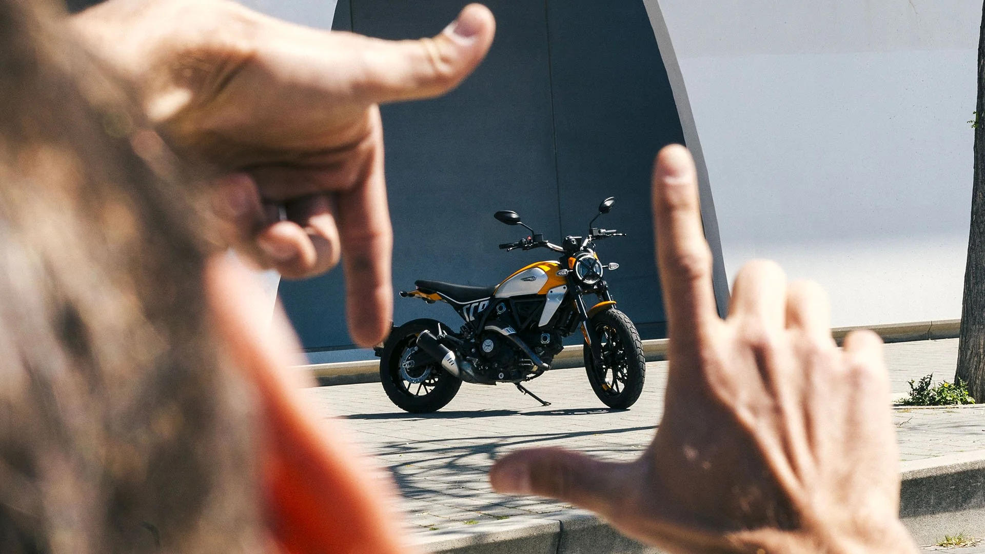 2026 Ducati Scrambler Icon - Yellow - Image 13